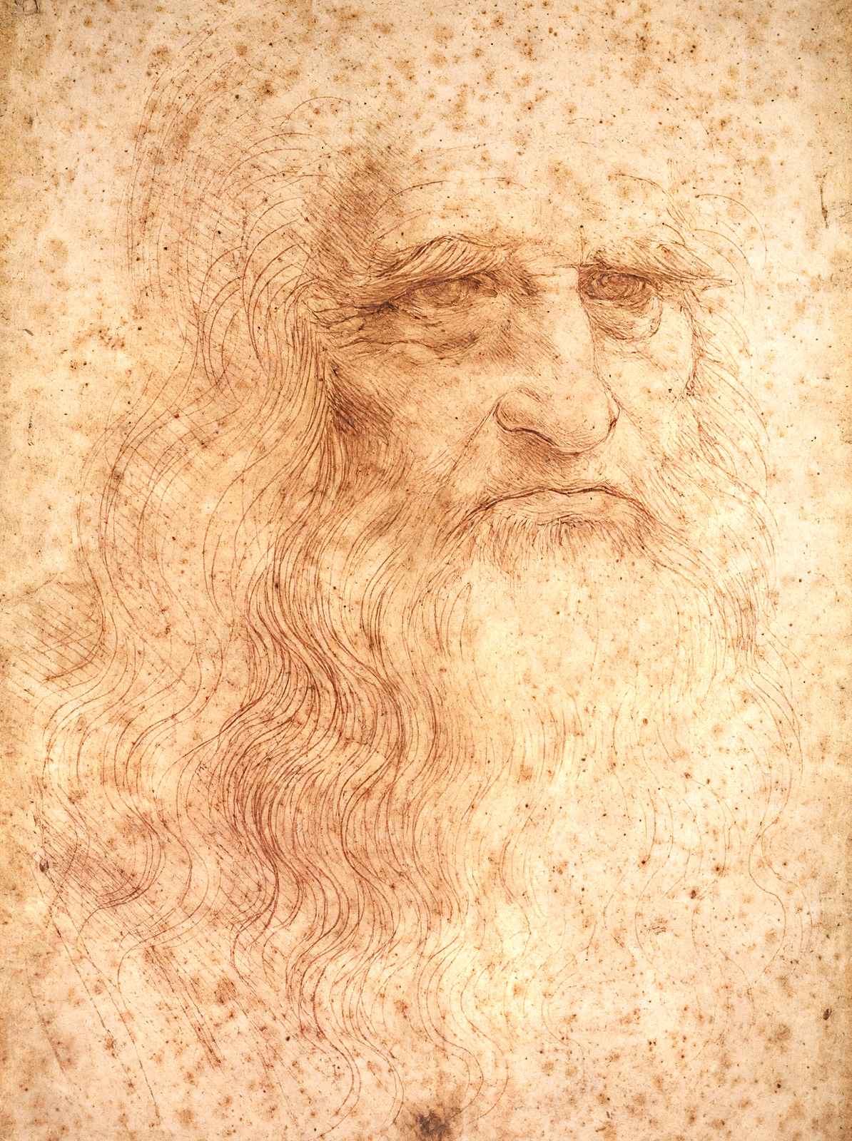 Portrait of a Bearded Man, Possibly a Self Portrait 1513 Art Print (6 Sizes)