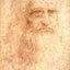Portrait of a Bearded Man