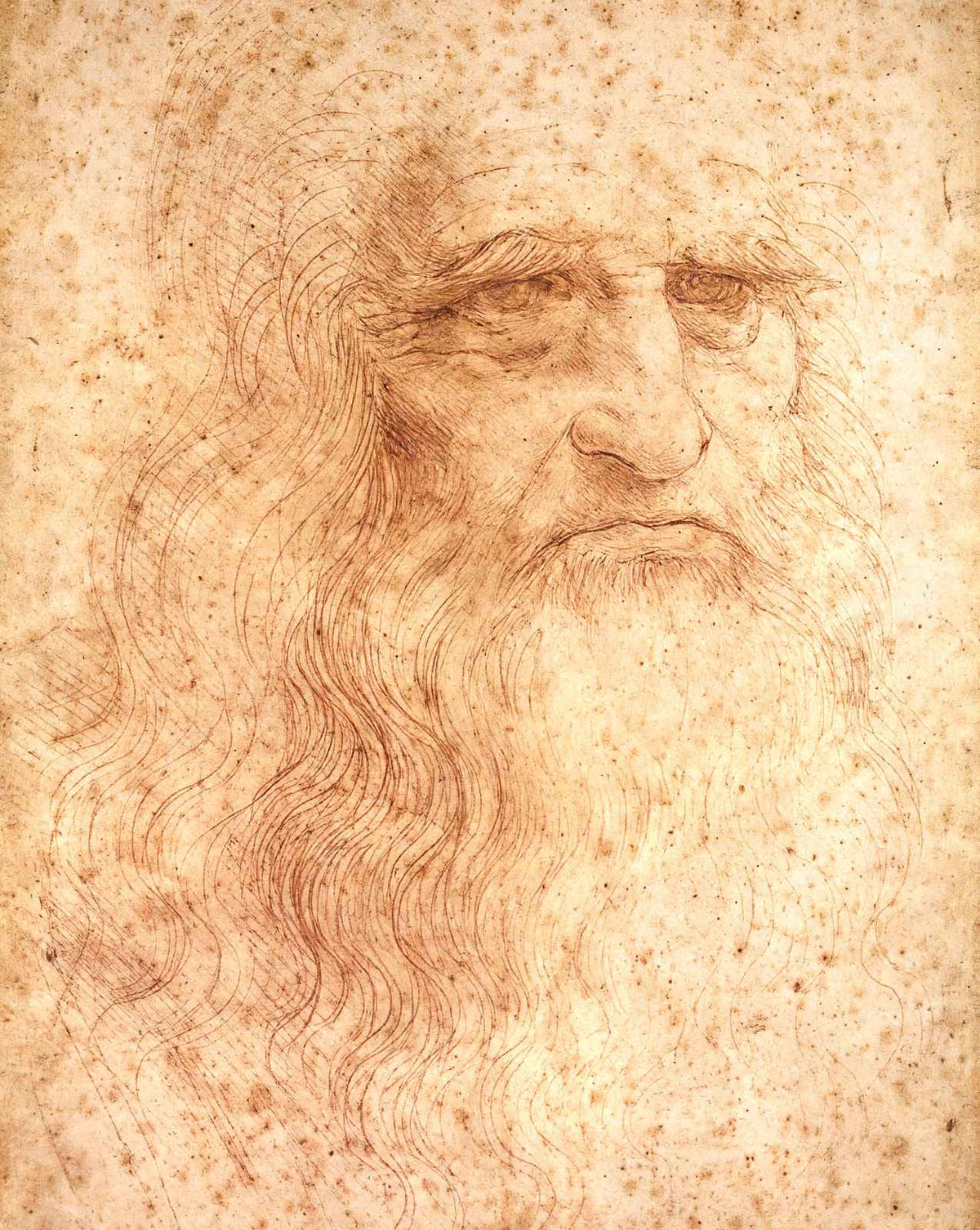 Portrait of a Bearded Man