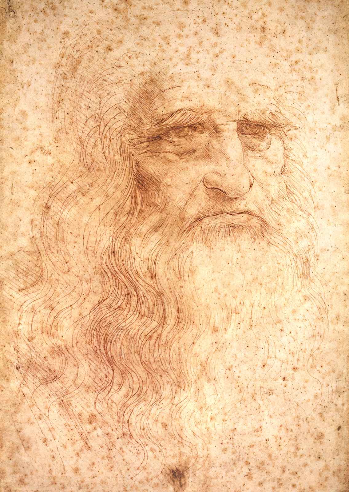 Portrait of a Bearded Man, Possibly a Self Portrait 1513 Art Print (6 Sizes)