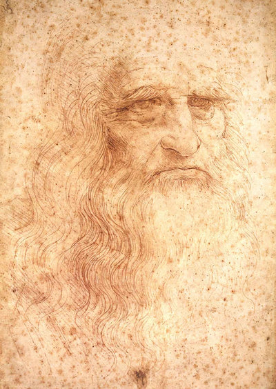 Portrait of a Bearded Man, Possibly a Self Portrait 1513 Art Print (6 Sizes)