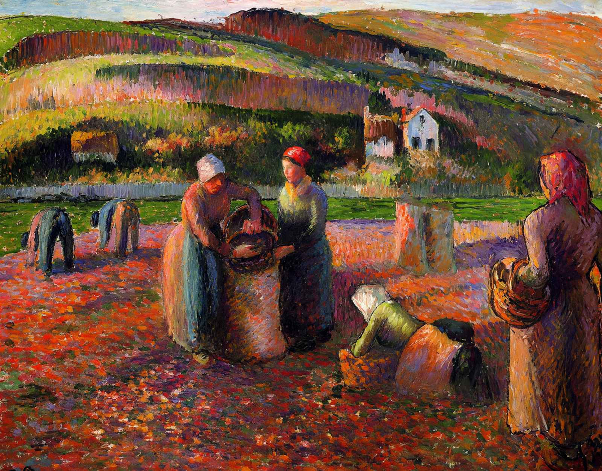 Potato Harvest 1893 Painting by Camille Pissarro Art Print (6 Sizes) - Restored