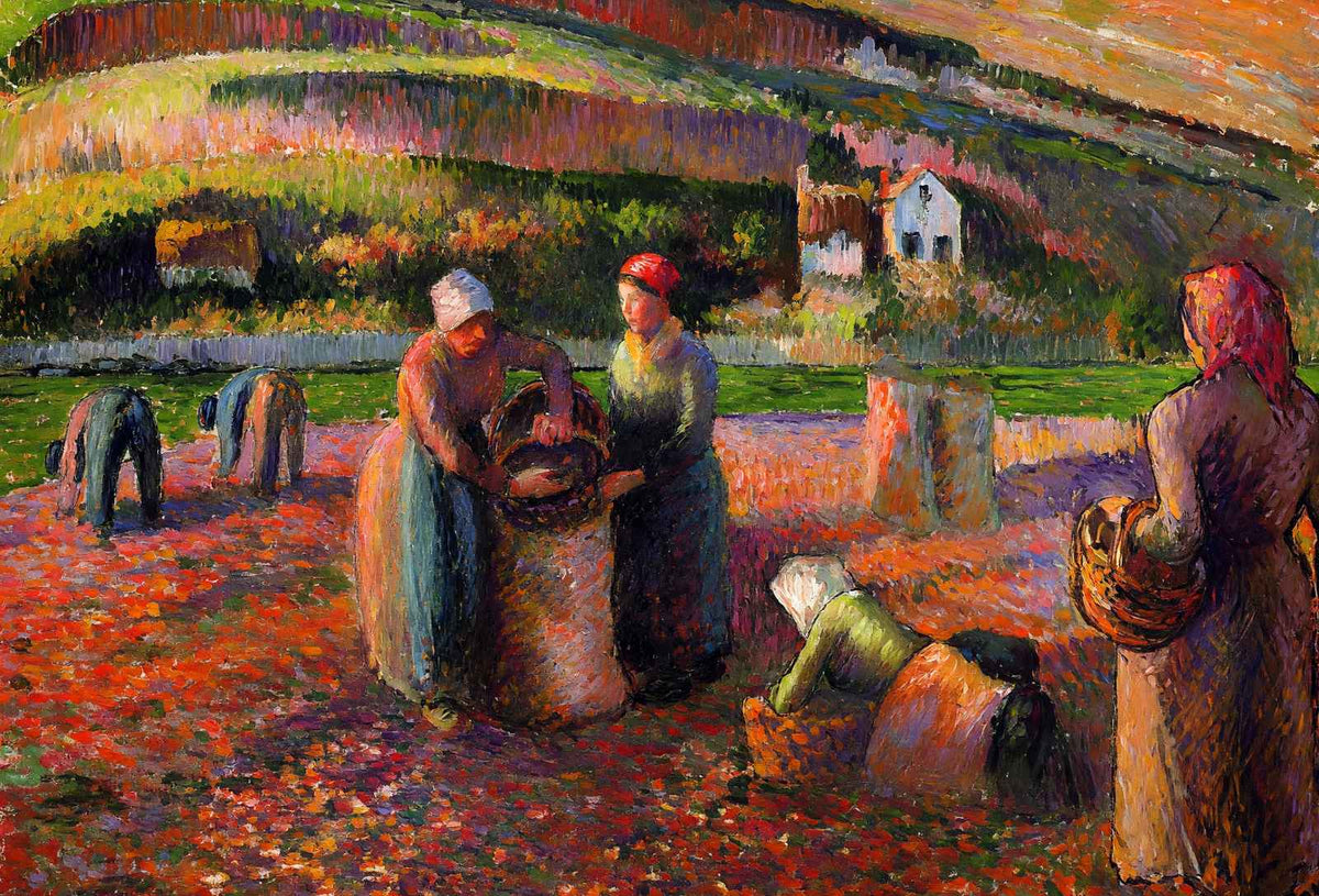 Potato Harvest 1893 Painting by Camille Pissarro Art Print (6 Sizes) - Restored