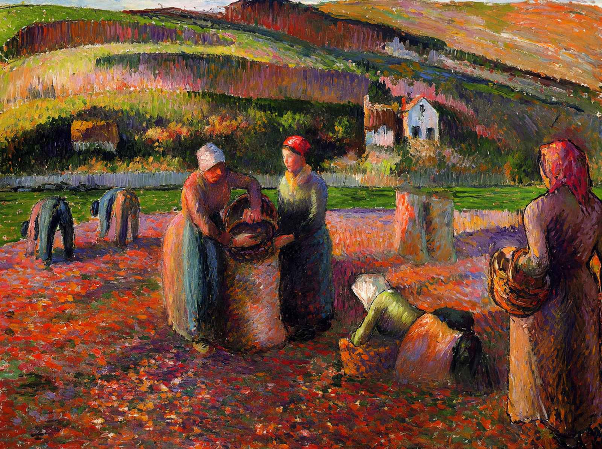 Potato Harvest 1893 Painting by Camille Pissarro Art Print (6 Sizes) - Restored