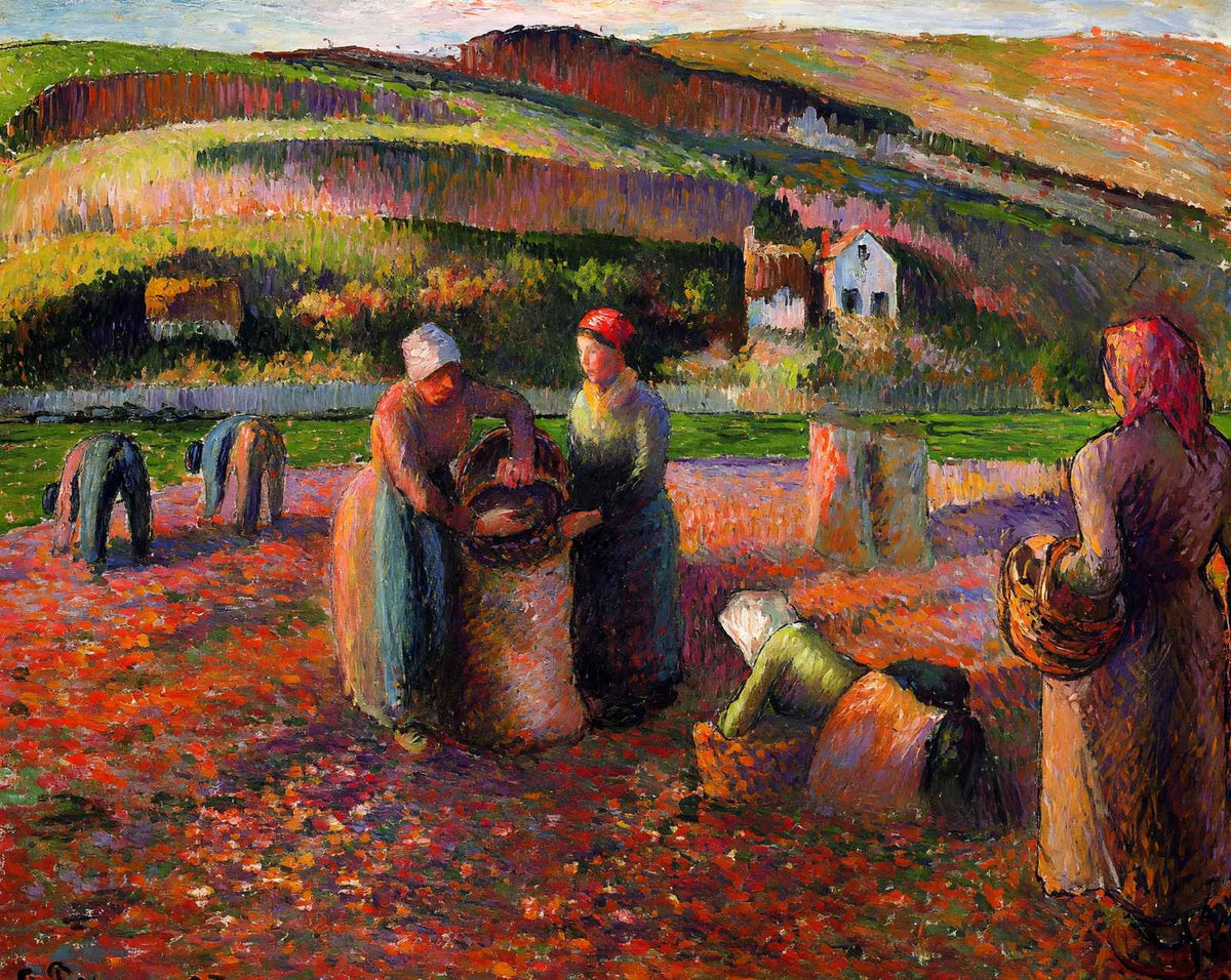 Potato Harvest painting by Camille Pissarro (1893)