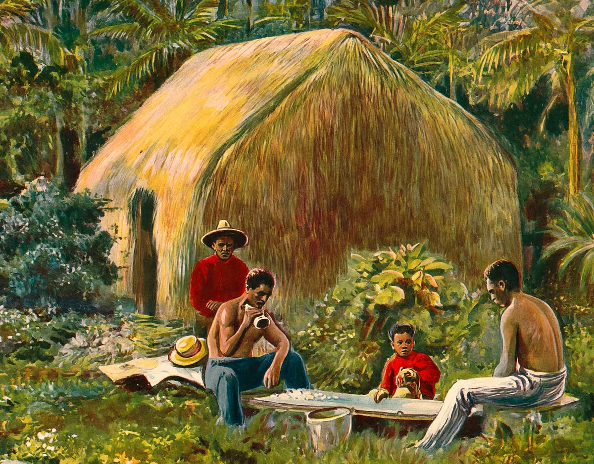A Primitive Hawaiian Home in 1908 Vintage Print (7 Sizes) - High Quality