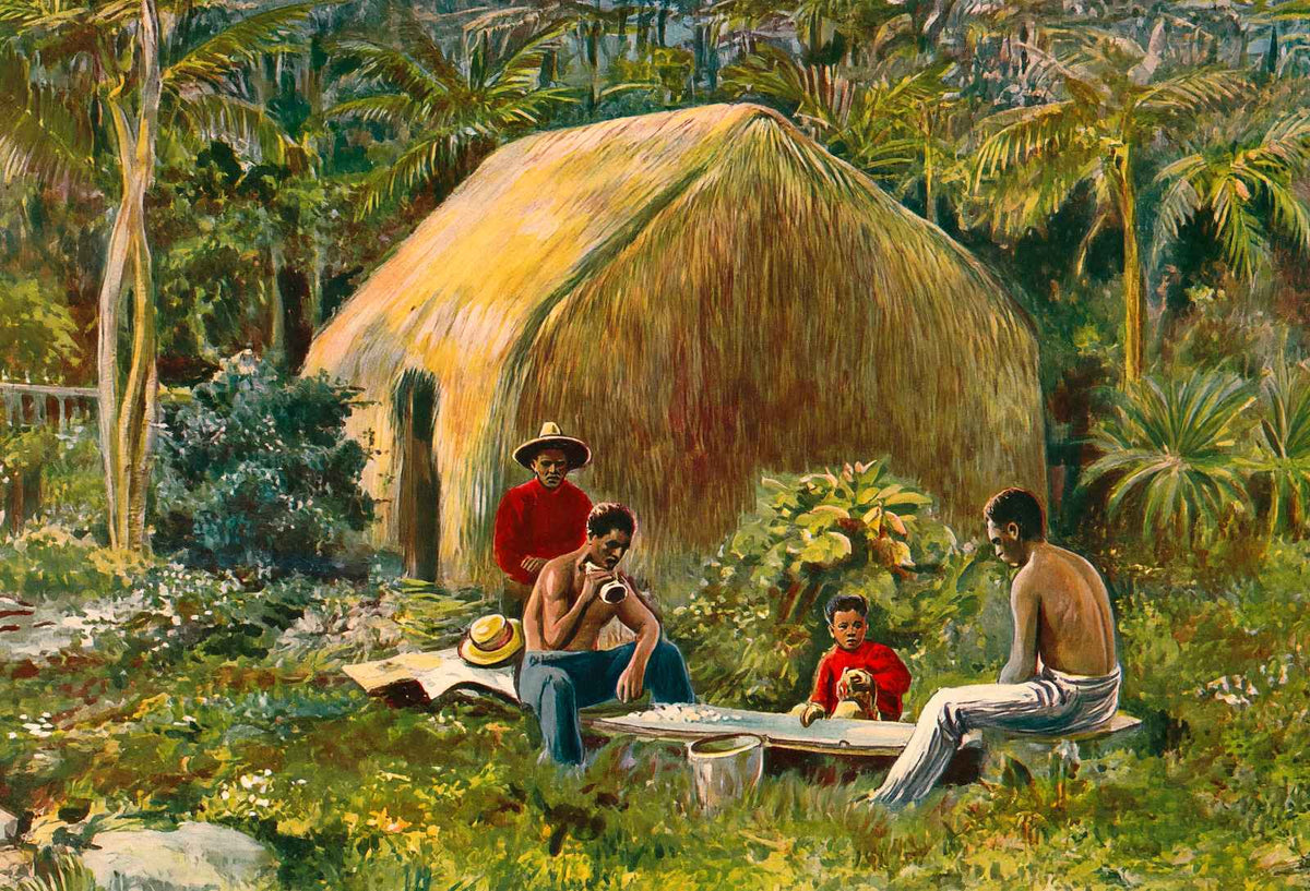 A Primitive Hawaiian Home in 1908 Vintage Print (7 Sizes) - High Quality