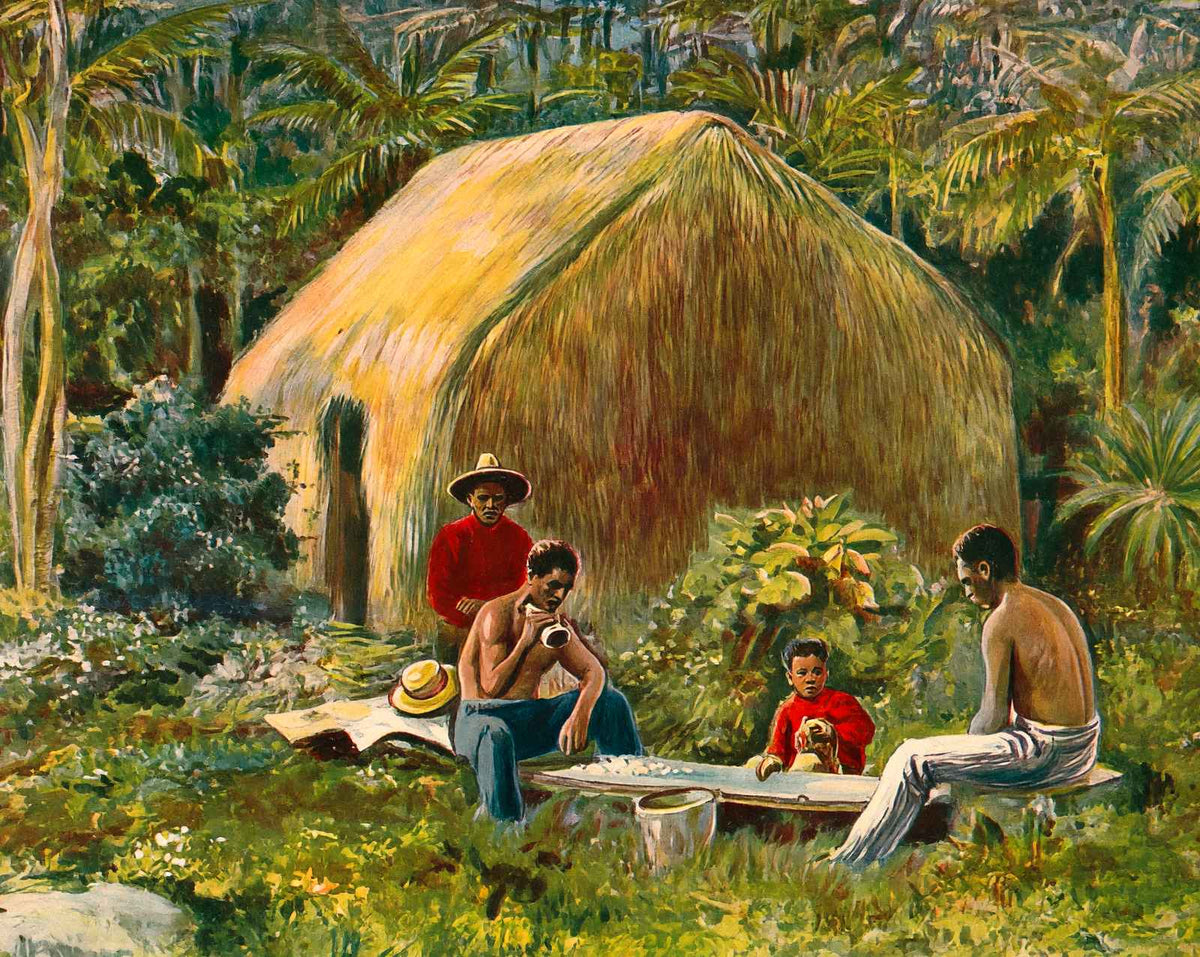 A Primitive Hawaiian Home in 1908 vintage print