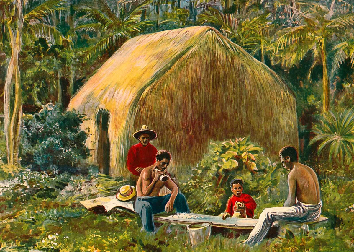 A Primitive Hawaiian Home in 1908 Vintage Print (7 Sizes) - High Quality