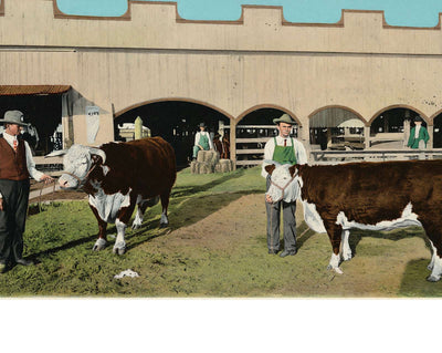Prize Winners in 1906 vintage print