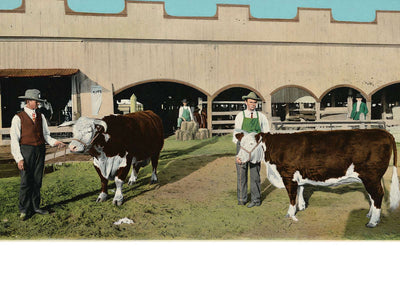 Prize Winners in 1906 Vintage Print (7 Sizes) - High Quality