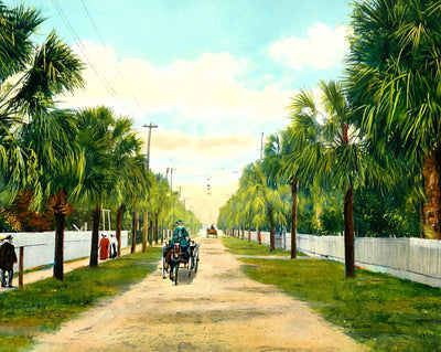 Prospect Avenue in Bradentown in 1908 art print