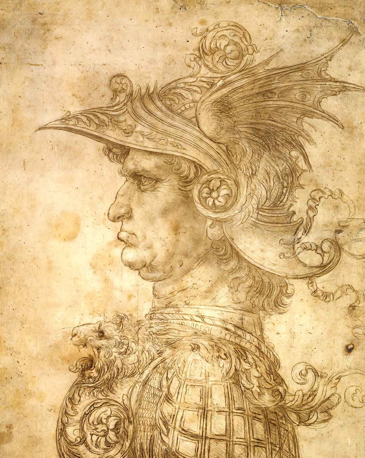 Profile of a Warrior in Helmet painting print by Leonardo da Vinci (1472)