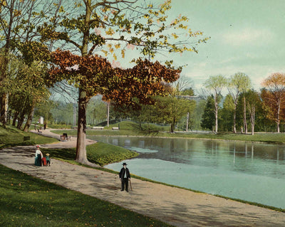 The Lake