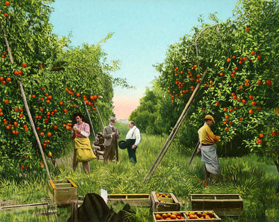Purchasing Crop