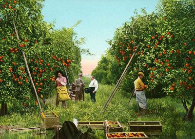 Purchasing Crop Southern Florida in 1907 Vintage Print (7 Sizes) - Acid Free
