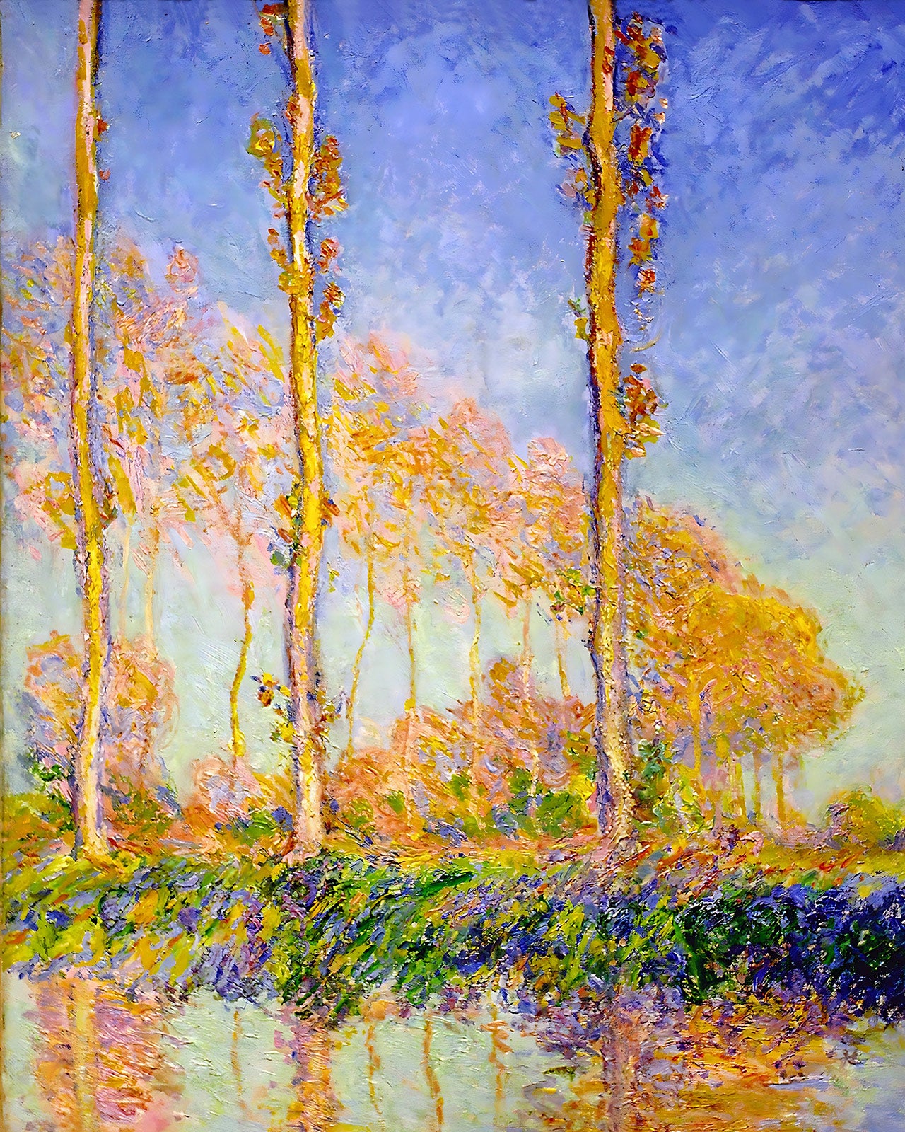 Poplars