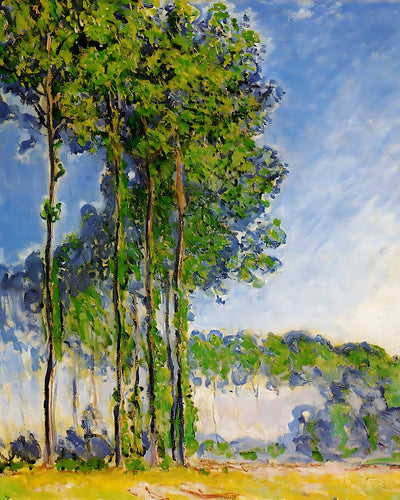 Poplars