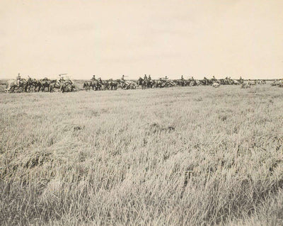 Rice Farm