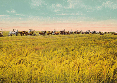 Rice Farm Beaumont in 1907 Vintage Print (7 Sizes) - Premium Print