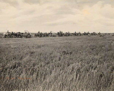 Rice Farm