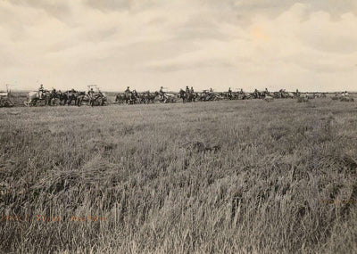 Rice Farm Beaumont in 1907 Vintage Print (7 Sizes) - Premium Quality