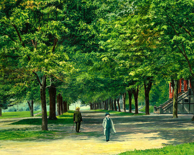 Road of Elms