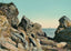 Rocky Shore at Delano Park Maine in 1908 Vintage Print (7 Sizes)