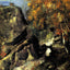 Rock in the Forest of Fontainbleau Art Print 1868 by Paul Cezanne (6 Sizes)