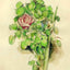 Rose Bush 1888 Painting by Paul Cezanne Fine Art Print (6 Sizes) - Restored