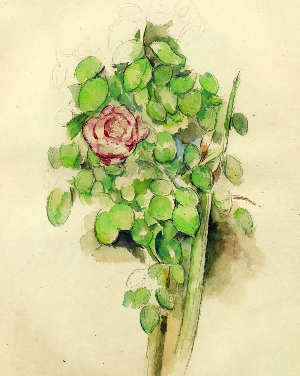 Rose Bush art print by Paul Cezanne (1888)