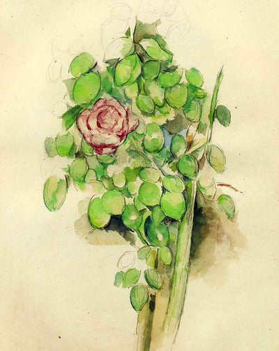 Rose Bush art print by Paul Cezanne (1888)