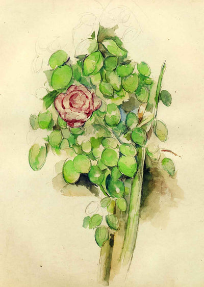 Rose Bush 1888 Painting by Paul Cezanne Fine Art Print (6 Sizes) - Restored
