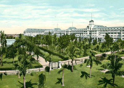 Royal Poinciana Palm Beach FL in 1907 Vintage Print (7 Sizes) - Reproduction