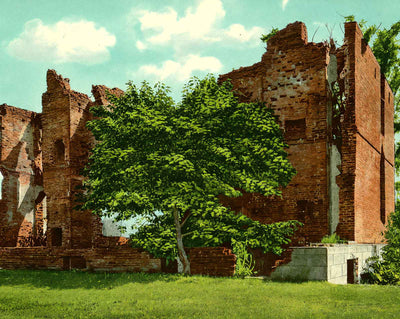 Ruins of Ambler House Near Jamestown vintage print
