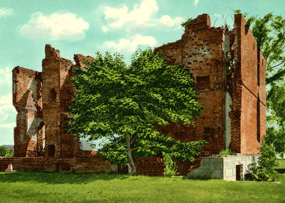 Ruins of Ambler House Near Jamestown in 1905 Vintage Print (7 Sizes)