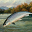 Salmon the First Leap in 1904 Art Print (7 Sizes) - High Quality