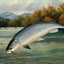Salmon the First Leap in 1904 Art Print (7 Sizes) - High Quality