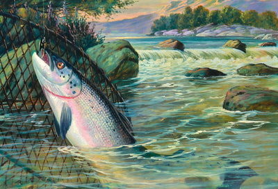 Salmon Landed in 1904 art print
