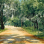 Brackenridge Park in 1906 Art Print (7 Sizes) - Retouched