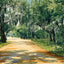 Brackenridge Park in 1906 Art Print (7 Sizes) - Retouched