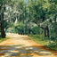 Brackenridge Park in 1906 art print