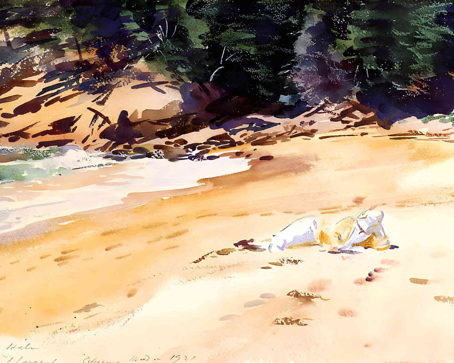 Sand Beach
