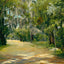 Brackenridge Park in 1905 Art Print (7 Sizes) - Premium Quality