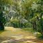 Brackenridge Park in 1905 Art Print (7 Sizes) - Premium Quality