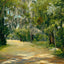 Brackenridge Park in 1905 Art Print (7 Sizes) - Premium Quality
