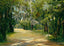 Brackenridge Park in 1905 Art Print (7 Sizes) - Premium Quality