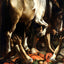 Saul's Conversion on the Way to Art Print Damascus by Caravaggio (6 Sizes)