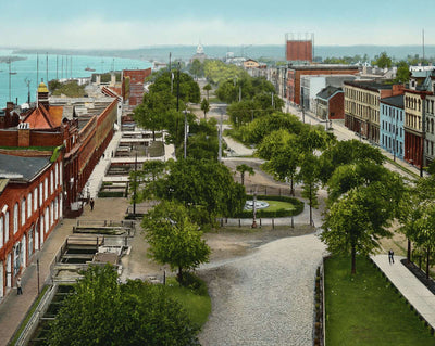 Bay Street from City Hall vintage print