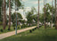 Savannah Yacht Club in 1904 Vintage Print (7 Sizes) - Restored